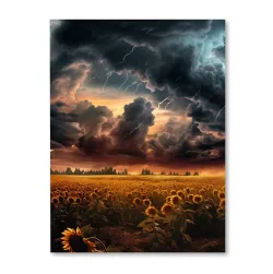 Burza nad polem słoneczników